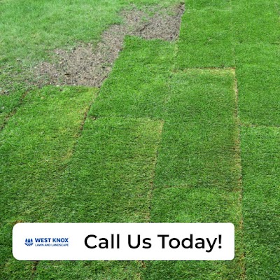 Gallery photo for West Knox Lawn and Landscape in Lenoir City, TN