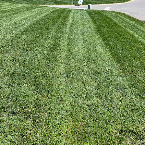 LawnStarter Lawn Care Service Lawn Care Service in Knoxville, TN photo