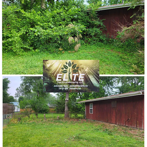 Elite Tree & Landscaping LLC Tree Service in Paducah, KY photo