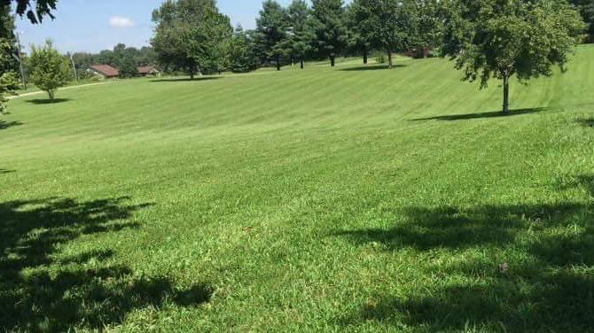 A+ Lawncare Lawn Care Service in Paducah, KY photo