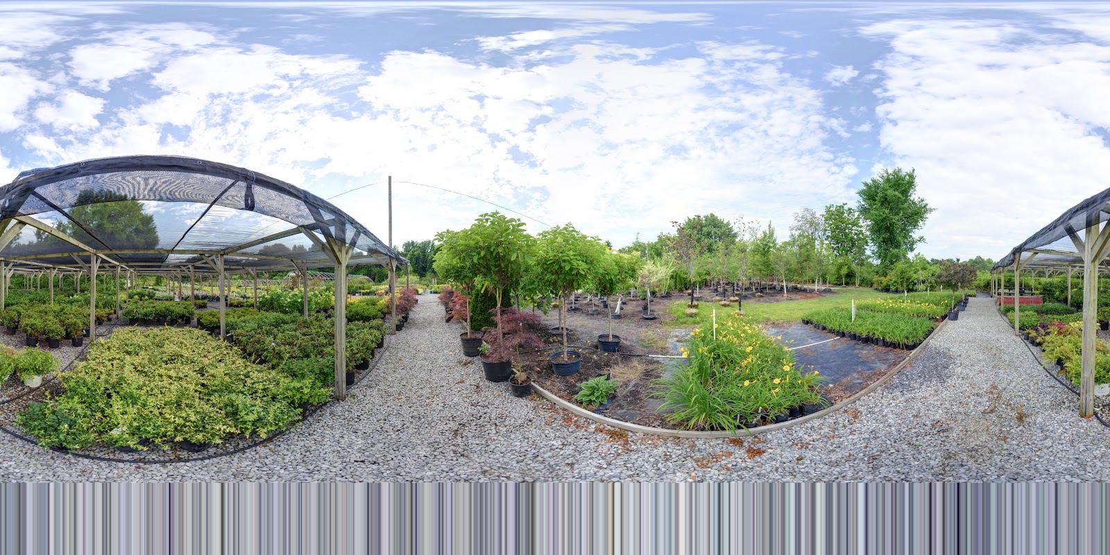 Edwards Nursery gallery photo