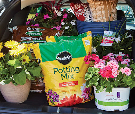 Garden Center at The Home Depot photo