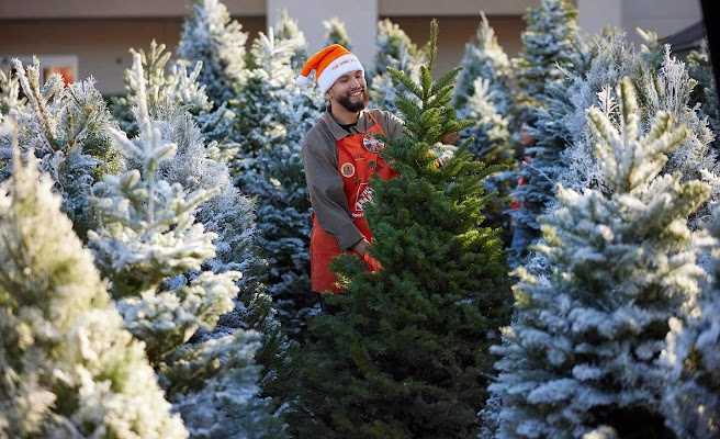 Garden Center at The Home Depot photo