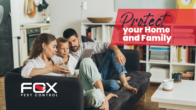Fox Pest Control Westbrook Pest Control Service in Westbrook, ME photo