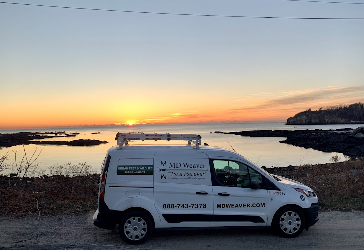 MD Weaver The Pest Reliever Pest Control Service in Portland, ME photo