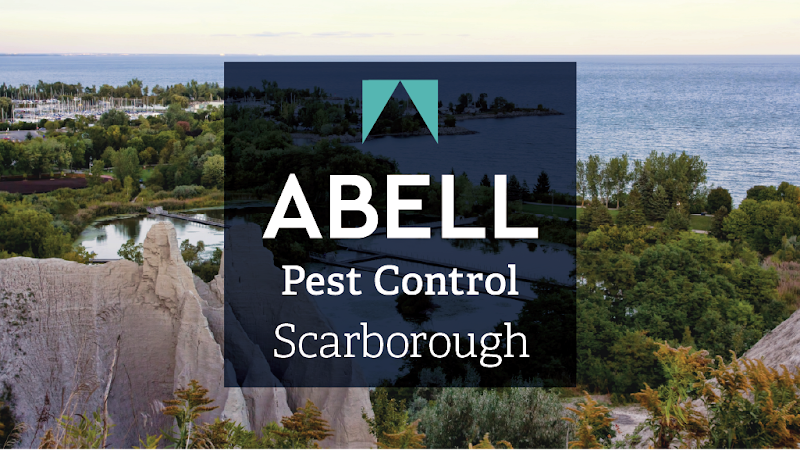 Abell Pest Control Toronto Pest Control Service in Scarborough photo
