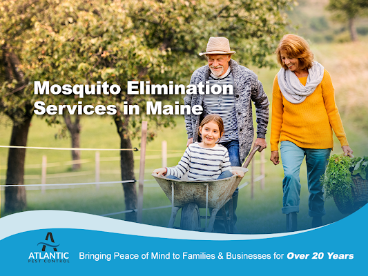 Atlantic Pest Control gallery photo