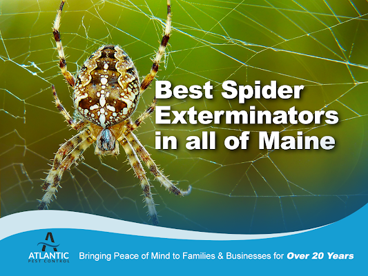 Atlantic Pest Control gallery photo
