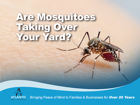 Atlantic Pest Control gallery photo