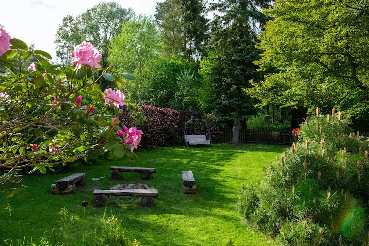 Summit Pest LLC Pest Control Service in Portland, ME photo