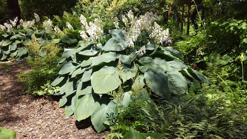 Joyce Gardens and Landscape Landscape Designer in Farmington Hills, MI photo