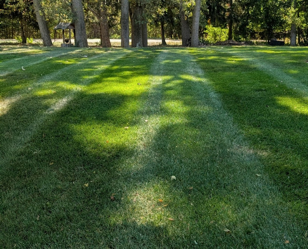 R & O lawncare Lawn Care Service in Livonia, MI photo