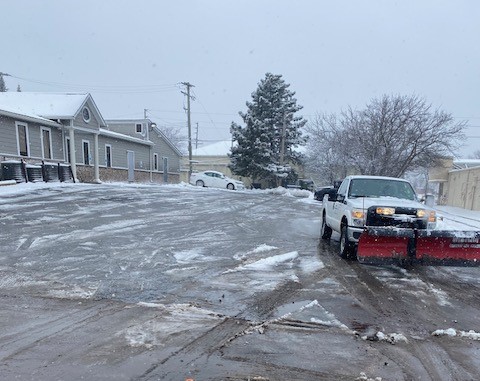 Canike Landscaping Inc Landscaper in Livonia, MI photo