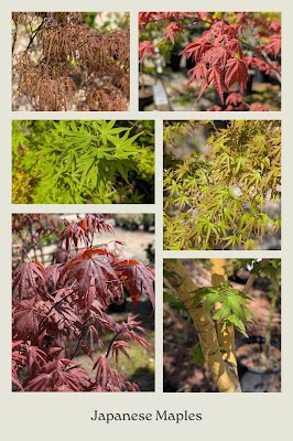 Kiefer Landscaping Inc gallery photo