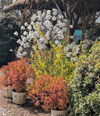 Kiefer Landscaping Inc gallery photo