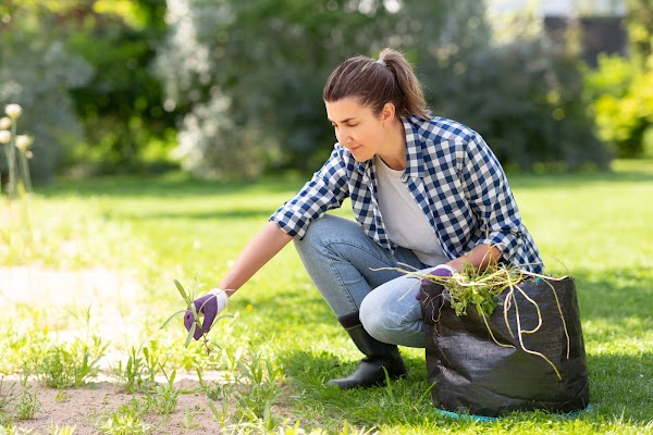 Agape Lawn Company gallery photo
