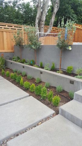 Natural Landscape and Irrigation Landscaper in Lake Oswego, OR photo