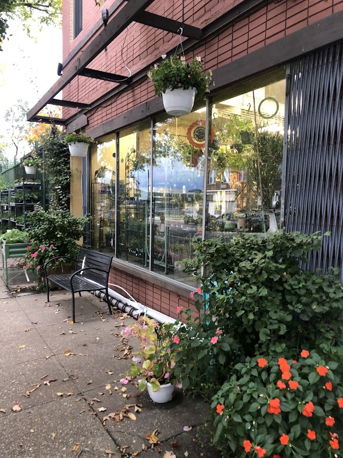 Ginkgo Gardens Garden Center in Washington, DC photo