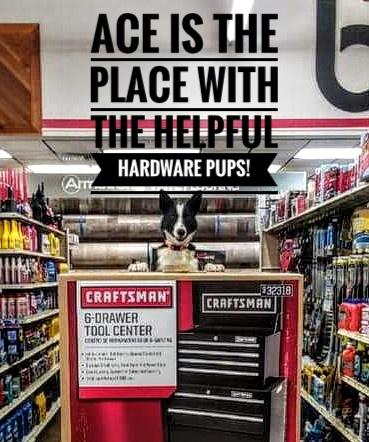 Bath Ace Hardware Handyman in Ely, NV photo